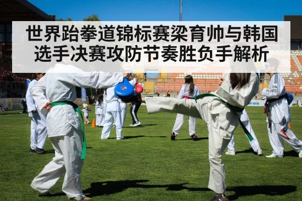 世界跆拳道锦标赛梁育帅与韩国选手决赛攻防节奏胜负手解析